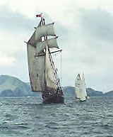 Tucker Thompson Sailing Ship, Bay of Islands